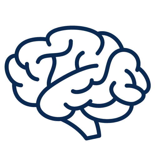 Brain icon