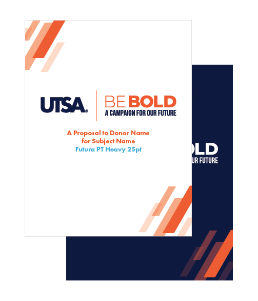 Example of sample Be Bold proposal template
