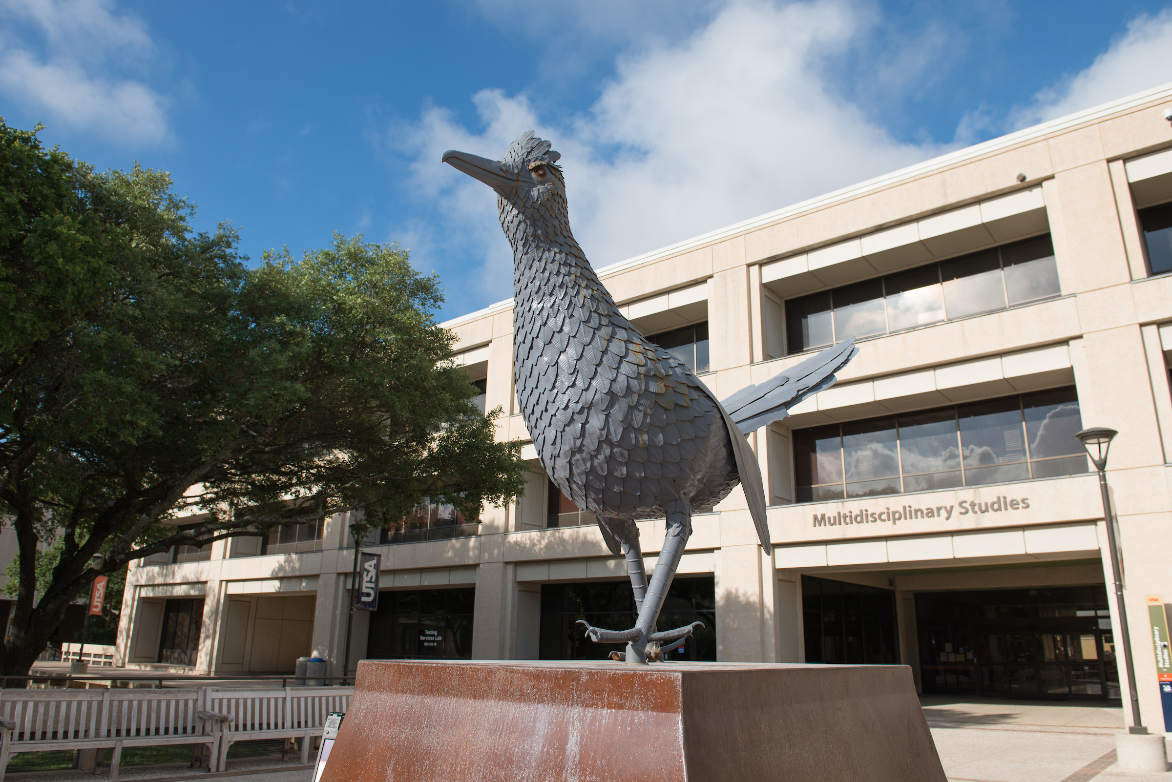 Roadrunner statue on campus