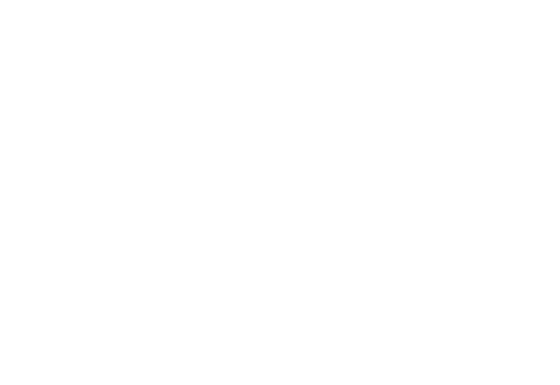  Advancement Institute Logo