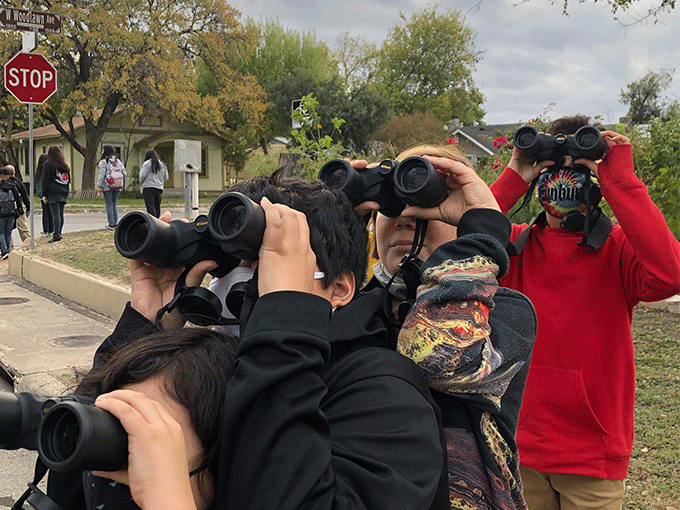 Looking at birds through  binoculars