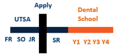 dental school application timeline