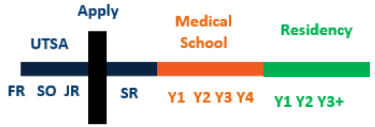 medical school application timeline