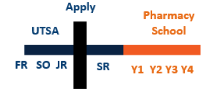 pharmacy school application timeline