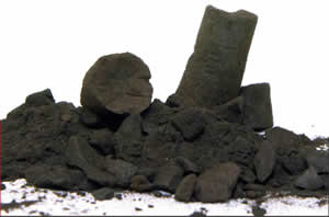 biochar