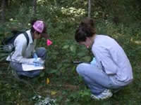 Elena (visiting scholar from Ecuador) and Stephanie collecting data on native plants in the forest understory.