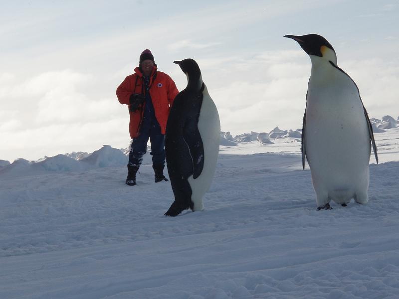 kathleen&penguins.JPG