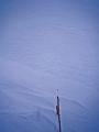 albedo_line_Li5_PT1