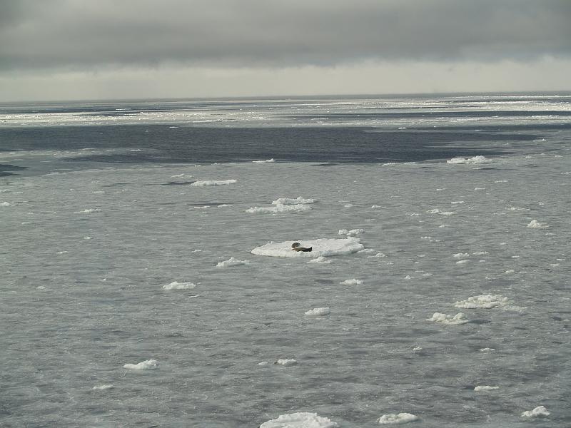 PA261507.JPG
