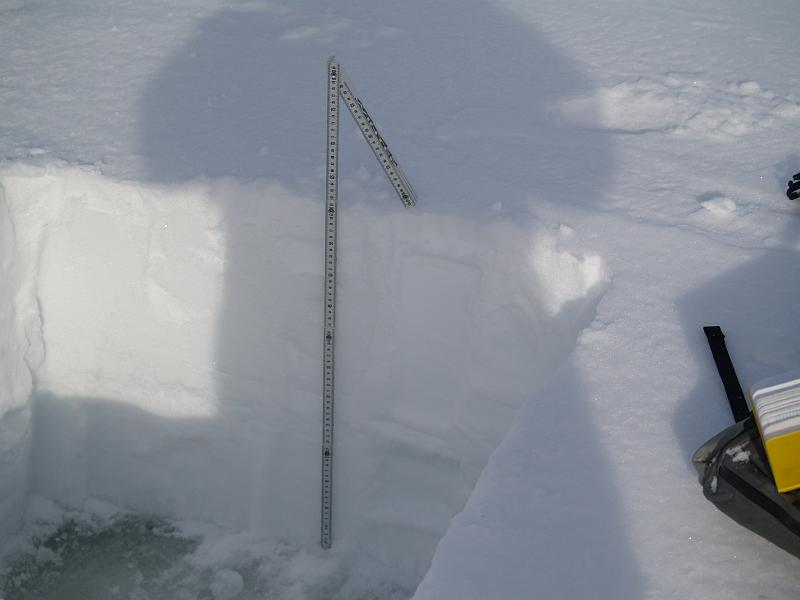 PA171305.JPG