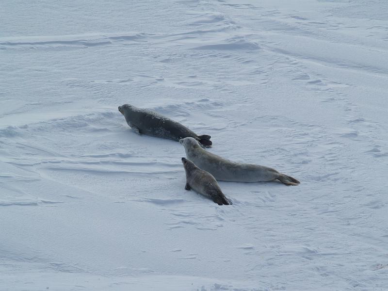 PA241424.JPG