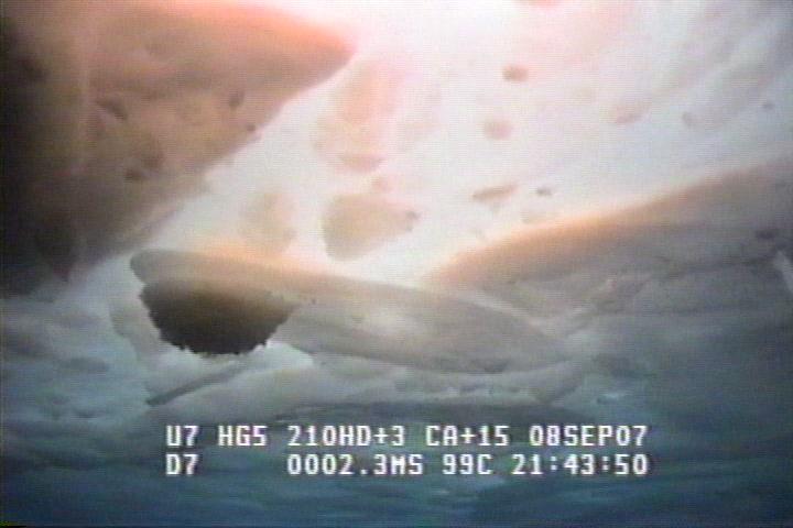 ROV1-070908_36888.jpg