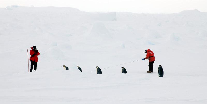 DSC_9510.JPG