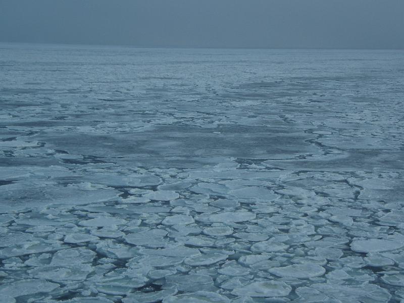 200709080001.JPG