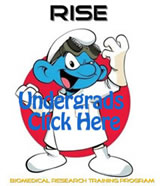 SMURF RISE undergrad button