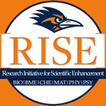 RISE logo