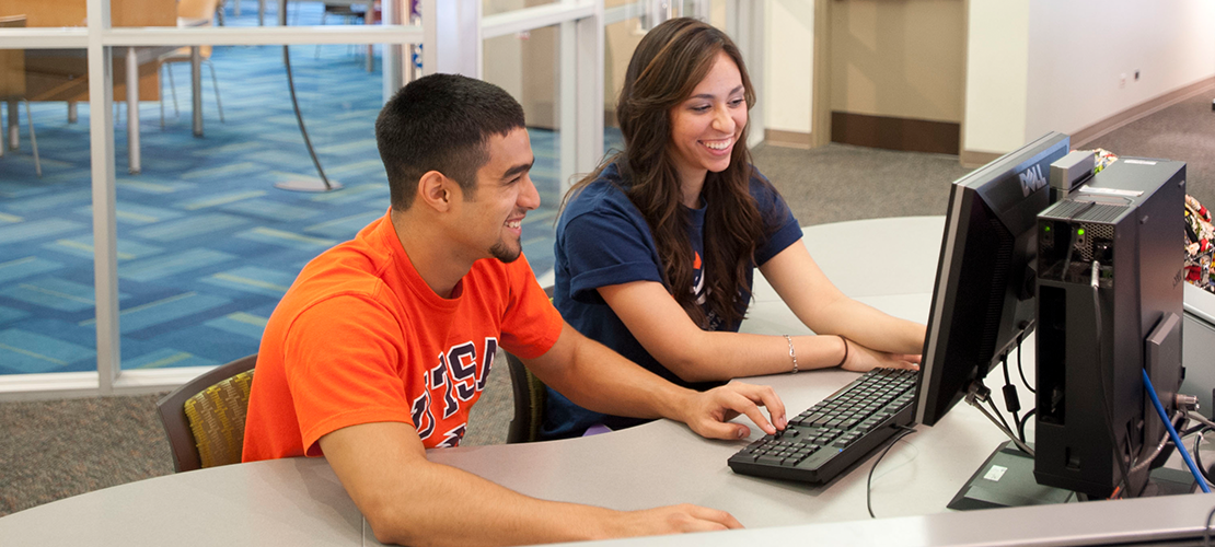 Young adults on the computer