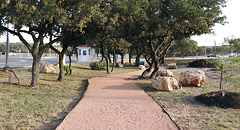 Sustainability Council