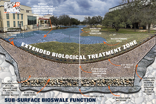 Bioswale diagram