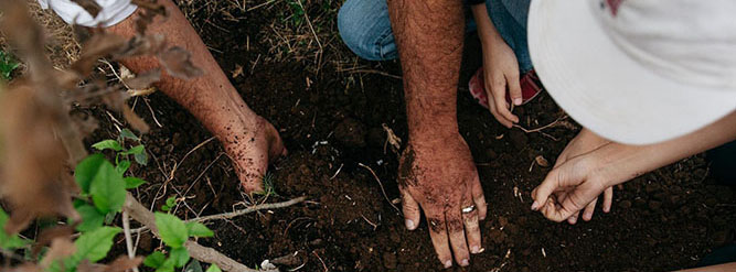 People planting in the soil