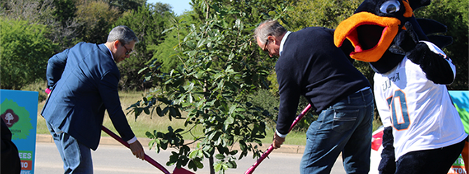 Men planting a tree