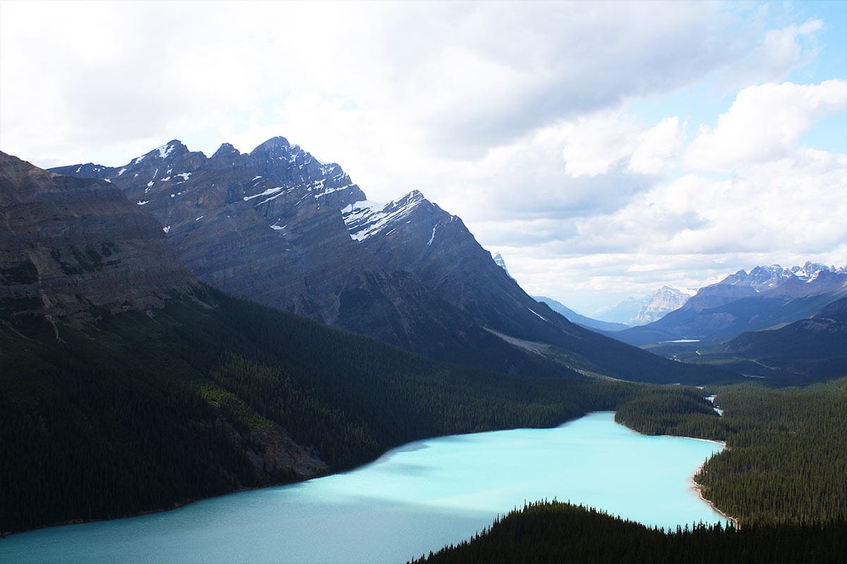 Jutting mountains and dense evergreens cradle Emerald Lake in Canada.