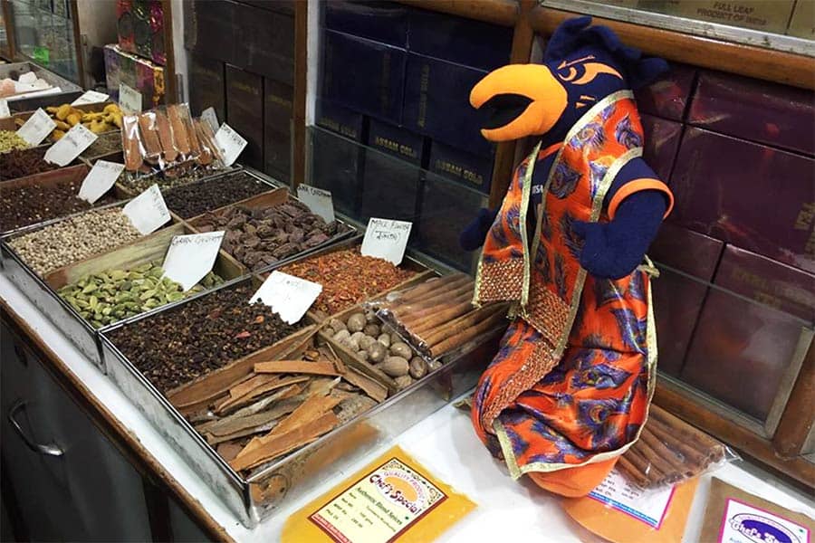 Rowdy explores a spice market at the World Heritage Site of Amer Fort in Jaipur, India.