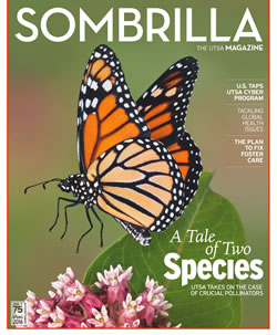 Sombilla Spring 2016 cover
