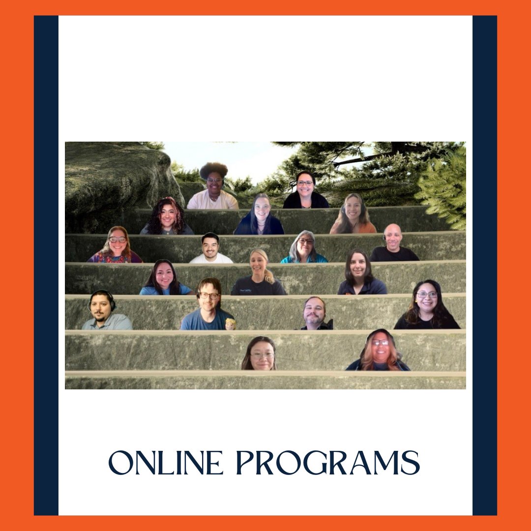 Online Programs