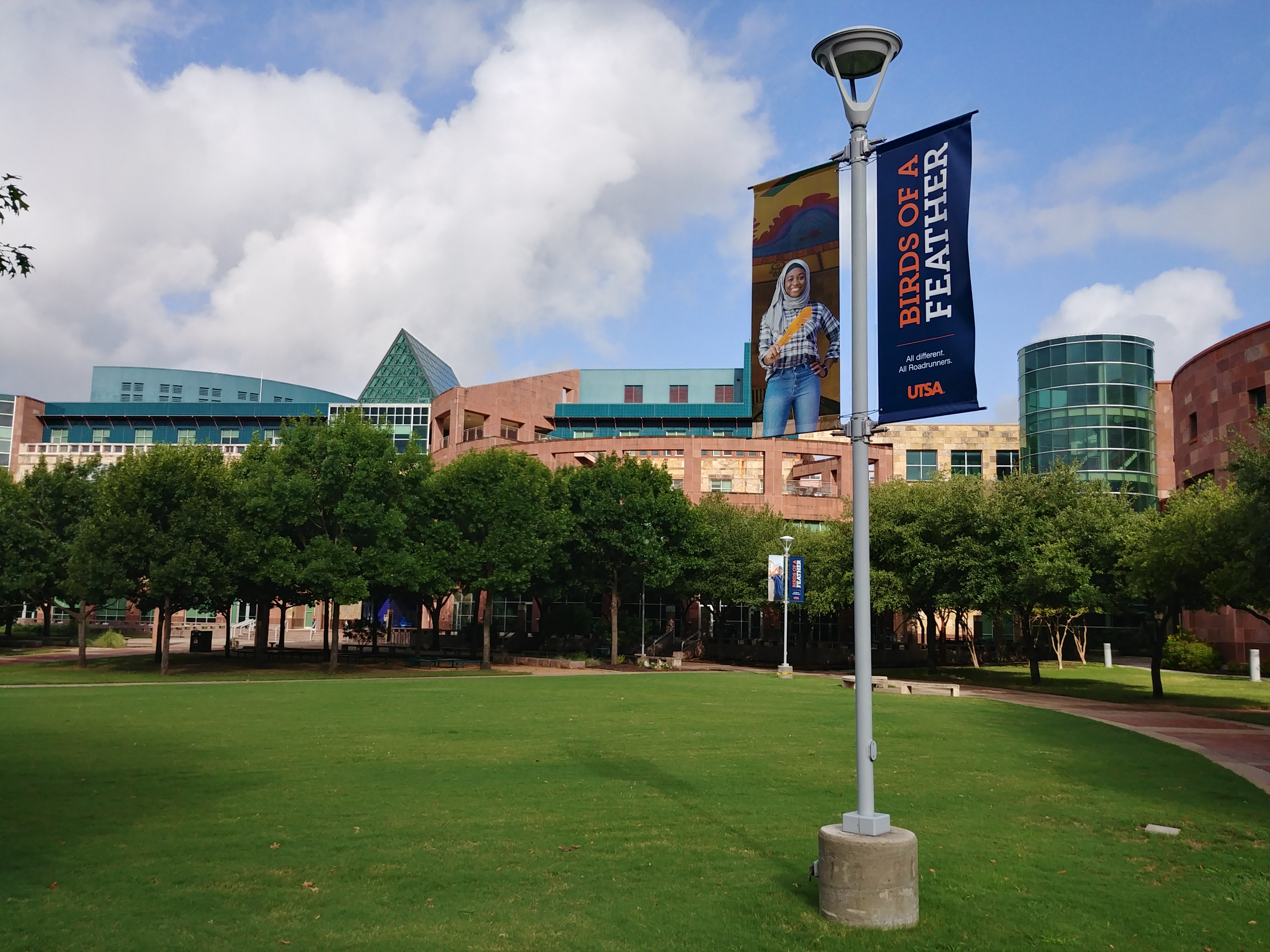 Birds of a Feather campaign activated at Downtown Campus