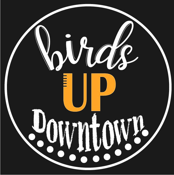 2019-Birds-Up-Downtown-Icon.jpg