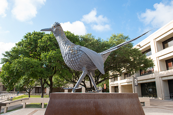 Roadrunner Statue on UTSA Main Campus