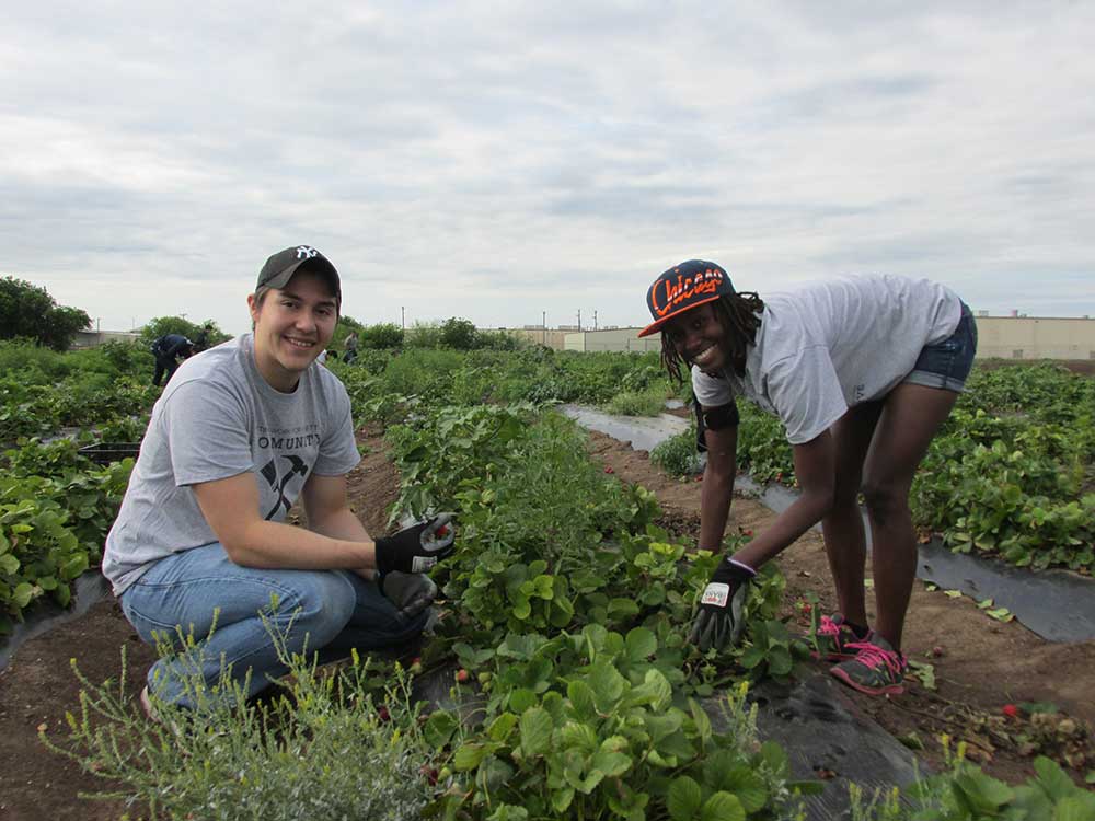 VOICE members volunteering at a community garden.