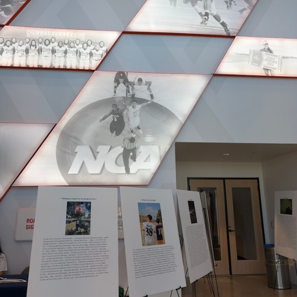 Photo exhibit displaying posters with a photo and decription