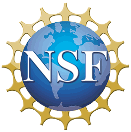 nsf logo