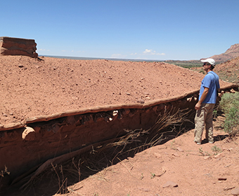 UTSA joins Desert Southwest Cooperative Ecosystem Studies Unit