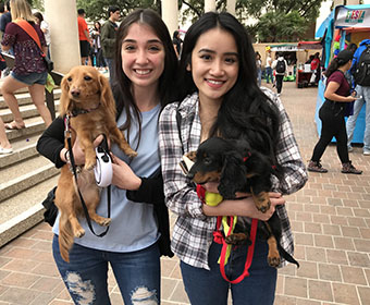 2018 Fiesta UTSA