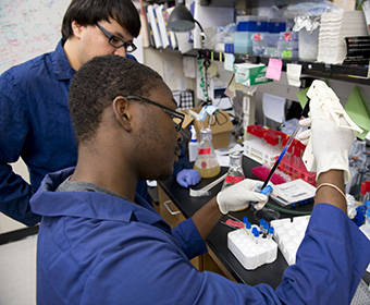 Open forums announced for UTSA College of Sciences dean candidates