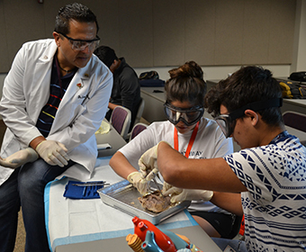 UTSA welcomes new cohort to Pathway to Health Professions Program