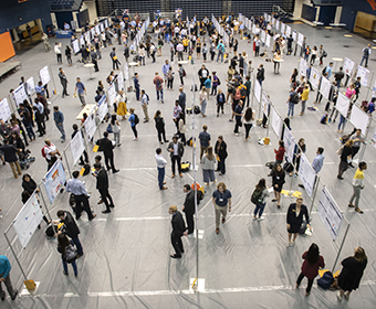 Student success demonstrated at UTSA Undergraduate Research and Creative Inquiry Showcase 