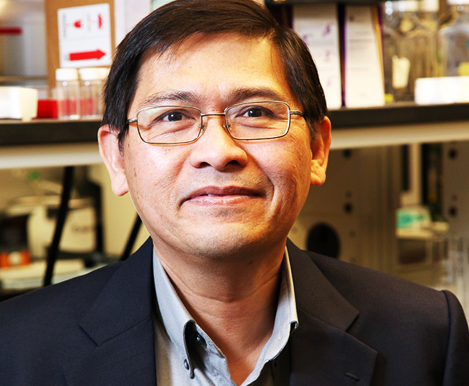 Anson Ong elected fellow, biomaterials science and engineering