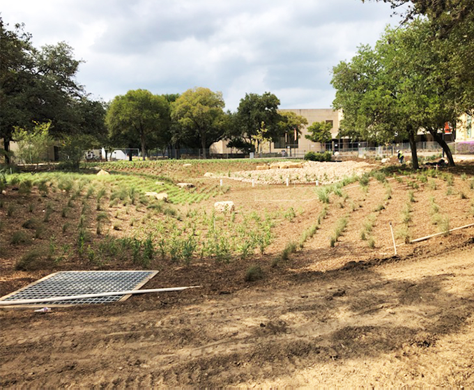 UTSA earns recognition for campus sustainability efforts
