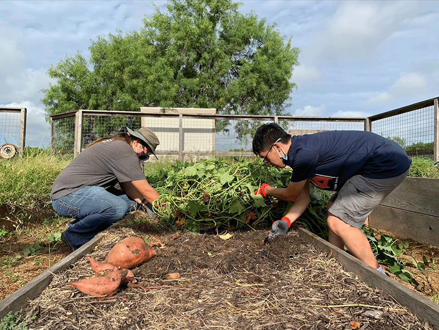 Roadrunner Days Service Projects