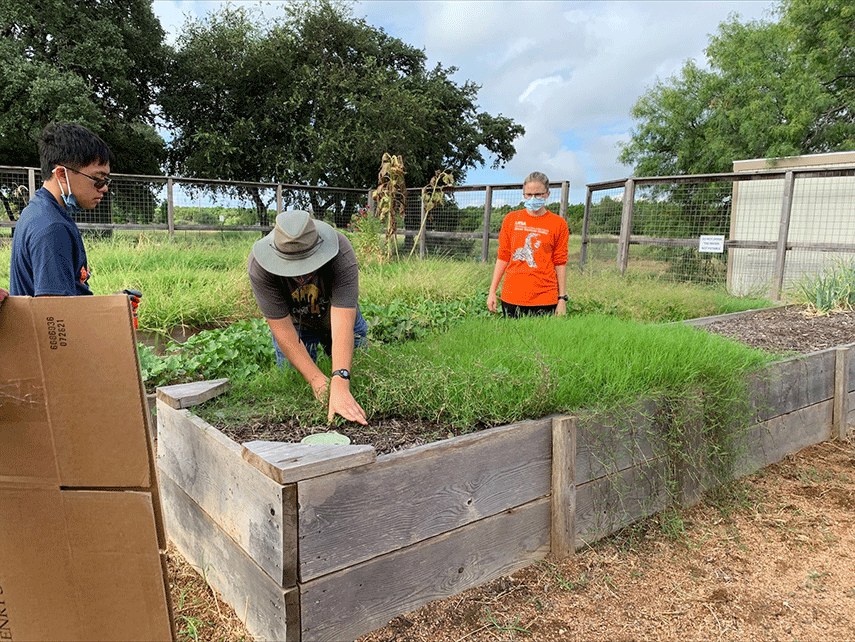 Roadrunner Days Service Projects