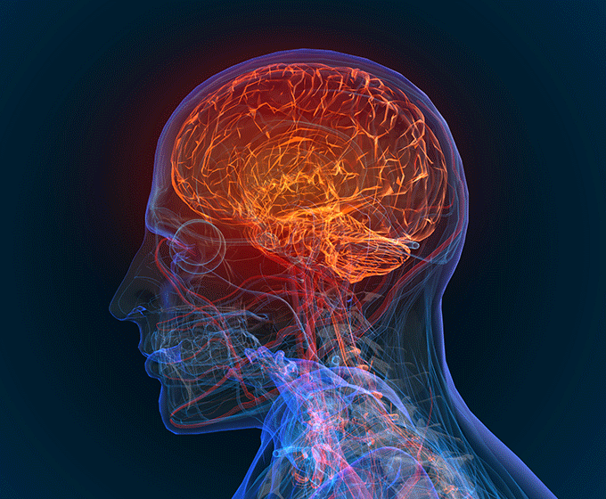 Hand-in-hand: UTSA-UT Health team studying compounds to treat brain cancer