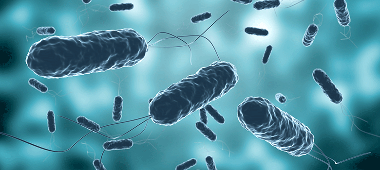 UTSA researchers uncover new technique to inhibit cholera an infection | UTSA Right this moment | UTSA