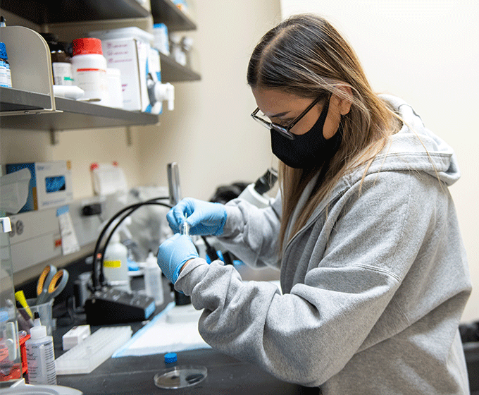 Record student cohort to graduate from UTSA STEM research programs