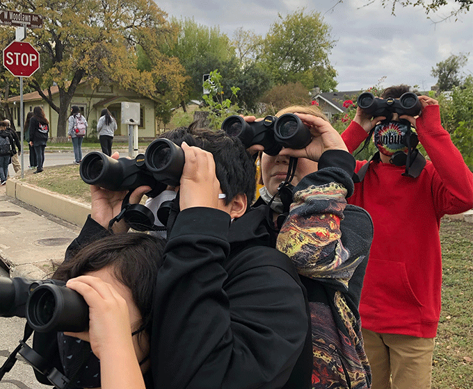 Mellon Foundation grants $1.5M to UTSA research coalition for the Urban Bird Project