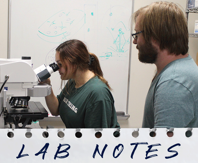 UTSA researchers make gains in understanding taste loss
