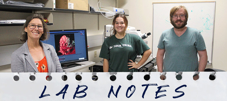 UTSA researchers make gains in understanding taste loss